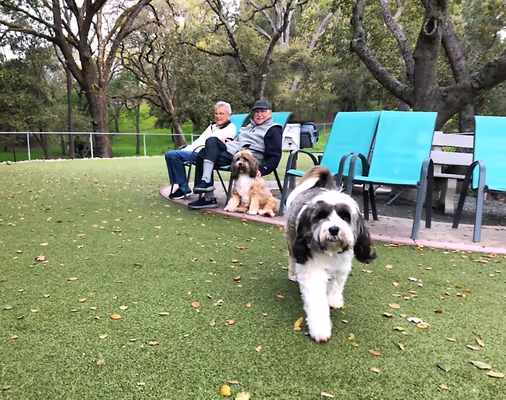 Walnut Grove Dog Park photo 2
